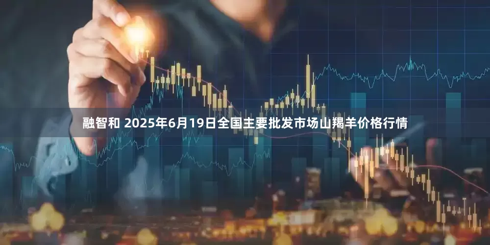 融智和 2025年6月19日全国主要批发市场山羯羊价格行情