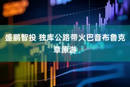 盛鹏智投 独库公路带火巴音布鲁克草原游