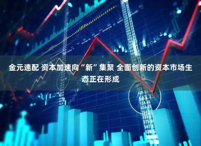 金元速配 资本加速向“新”集聚 全面创新的资本市场生态正在形成