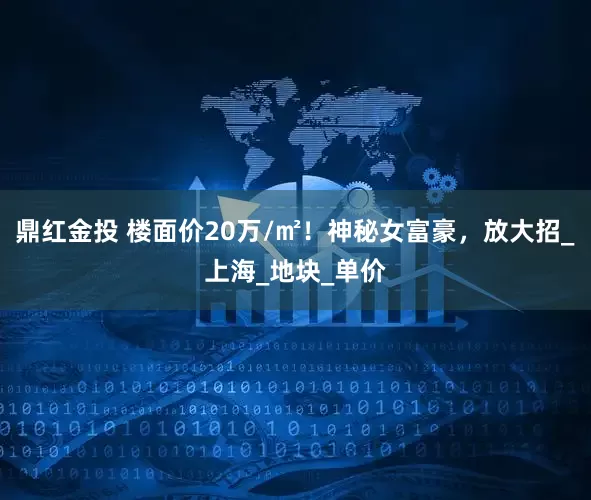 鼎红金投 楼面价20万/㎡！神秘女富豪，放大招_上海_地块_单价