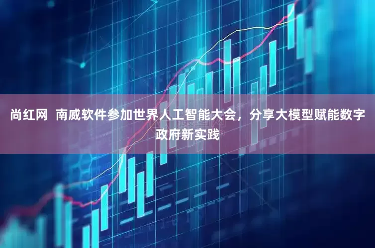 尚红网  南威软件参加世界人工智能大会，分享大模型赋能数字政府新实践