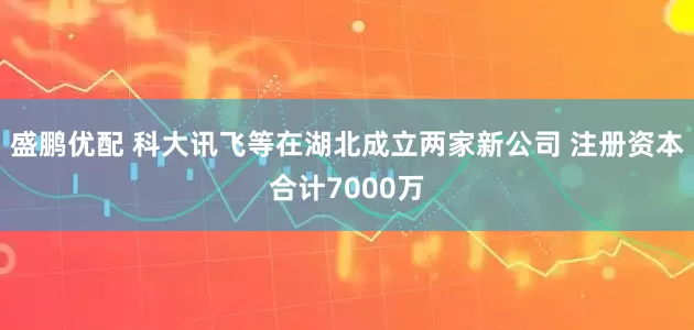 盛鹏优配 科大讯飞等在湖北成立两家新公司 注册资本合计7000万